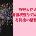 熊野大花火大会2024の混雑状況や穴場スポットはある？有料席の情報も調査