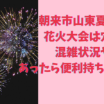 朝来市山東夏祭り花火大会は穴場！混雑状況やあったら便利持ち物も調査