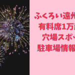 ふくろい遠州の花火2024の有料席1万超え？穴場スポットや駐車場情報も