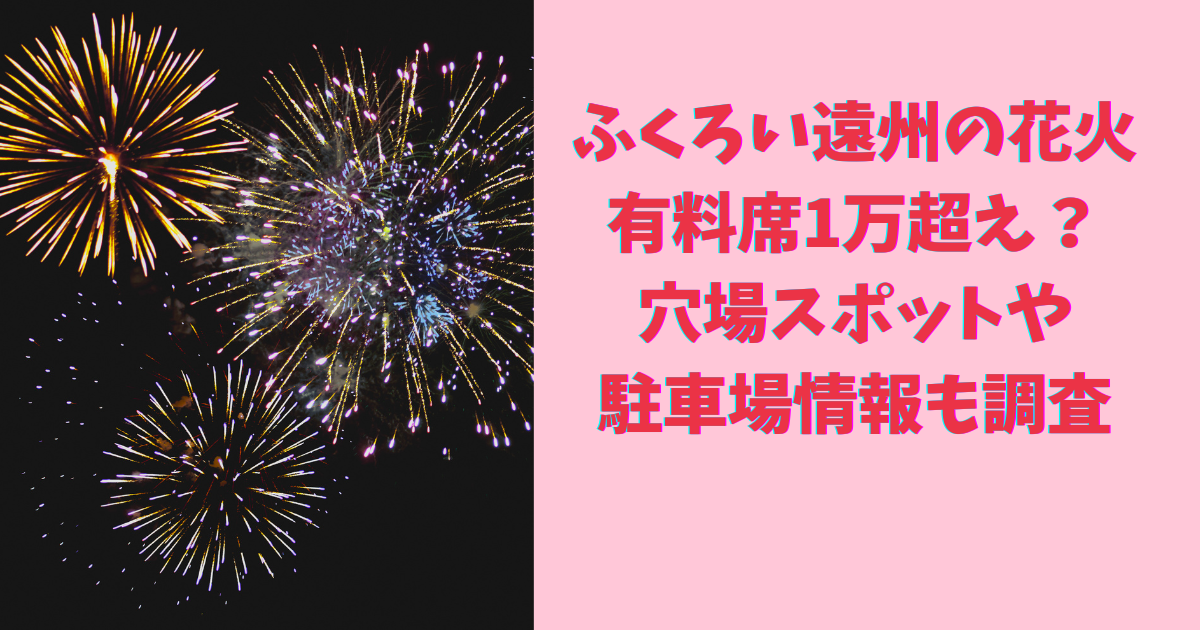袋井の花火 2024 チケット 2枚