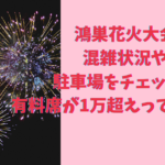 鴻巣花火大会2024の混雑状況や駐車場をチェック！有料席が1万超えってマジか！