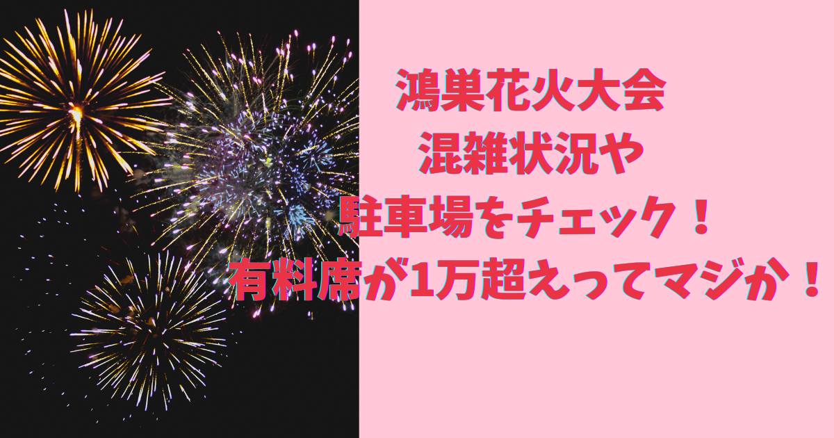 鴻巣花火大会2024の混雑状況や駐車場をチェック！有料席が1万超えってマジか！ - 日々の気になるアレコレ