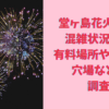 堂ヶ島花火大会 2024の混雑状況は？有料場所や駐車場の穴場なども調査